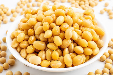a dish of wet soy beans and dried soy beans / soybeans