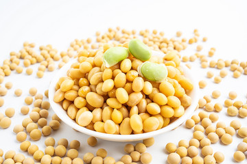 a dish of wet soy beans and dried soy beans / soybeans