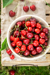 Tasty sweet cherries in a sunny day