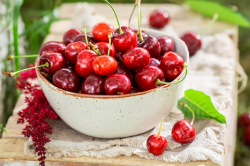 Red sweet cherries in the white bowl
