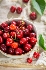 Delicious sweet cherries in a sunny day