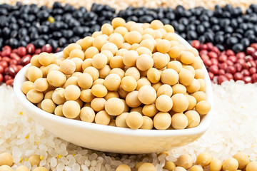 a dish of soybeans on a whole grain