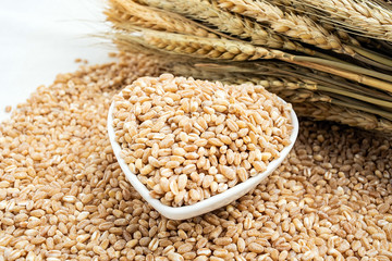 Wheat kernel and wheat ears