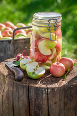 Preparation for apples compote in the summer garden