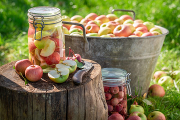 Ingredients for apples compote in the jar in summer