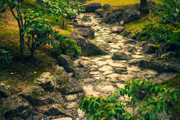 Walk path