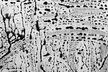 Dripping black paint isolated on white background. Flowing fuel oil splashes, drops and trail