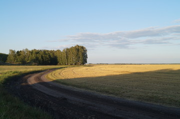 road in the field