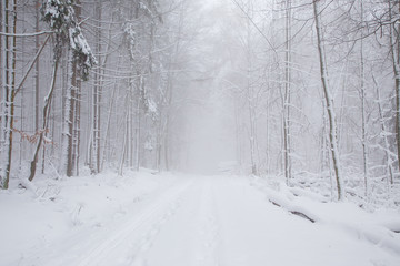 Winter im Taunus, Hessen, Deutschland, 01.02. 2019.