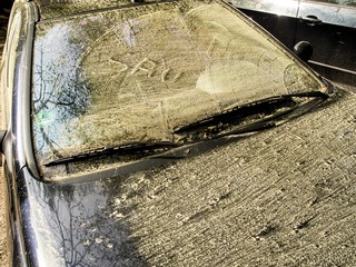 Überraschung - Wer war denn das? - Blütenstaub