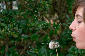 girl with dandelion