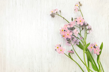 Spring pink forget-me-nots flowers posy, pastel background, selective focus, toned floral card	