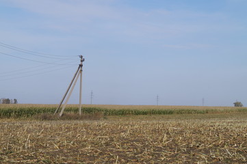 irrigation of field