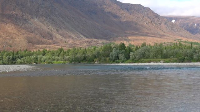 On the river Sob, Sunny August day. Summer in the polar Urals, Russia 
