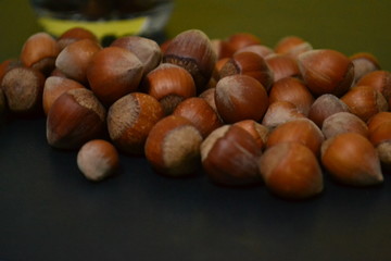 hazelnut is a very useful food