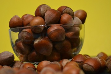 hazelnut is a very useful food