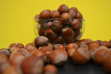 hazelnut is a very useful food