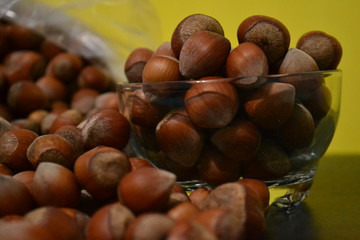 hazelnut is a very useful food