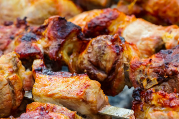 closeup barbecue frying on the flame