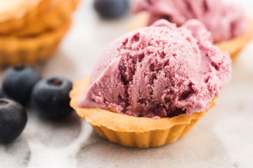 Fruit ice cream with blueberries