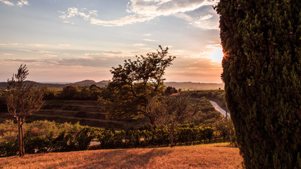 Naklejka premium Sunset in the vineyards of Rosazzo after the storm
