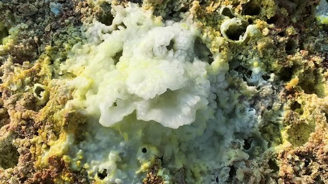 mineral water com,ng out of ground, Lake Karum, Ethiopia, tc01