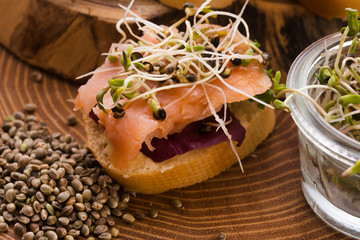 cannabis spouts dish. superfoods