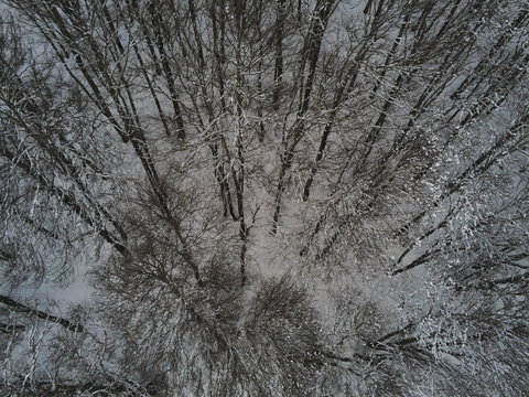 foto aeree natura