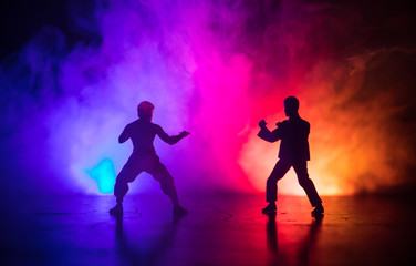 Karate athletes on the background of the Japanese flag.Character karate.silhouettes on a white background. Sports Scramble. © zef art