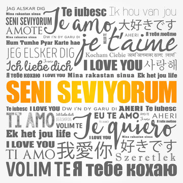 Seni seviyorum (I Love You in Turkish) in different languages of the world, word cloud background
