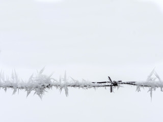 Stacheldraht im Winter