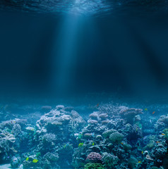 Fototapeta na wymiar Sea or ocean seabed with coral reef. Underwater view.
