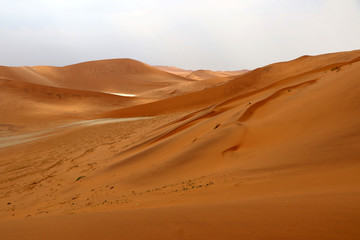 Obraz na płótnie Canvas Big Daddy sand dune Sossusvlei - Namibia Africa