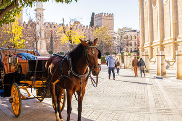 Fototapeta na wymiar Close-up of a horse with a cart on the background of the Alcazar and the Cathedral of Seville in Andalusia, Spain.