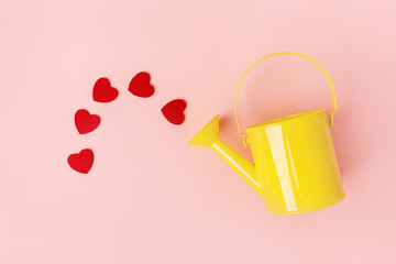 Watering can with hearts on pink © nerudol
