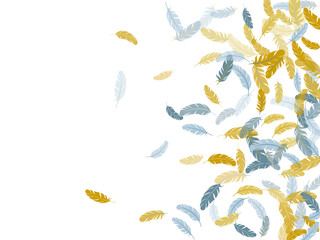 Flying feather elements airy vector design.