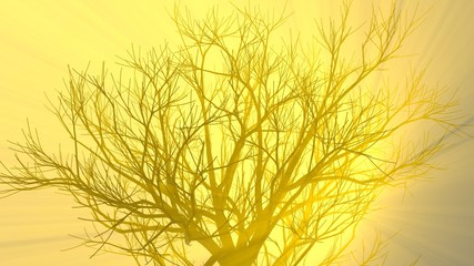 Lonely tree without leaves in fog or mist lit by bright orange sun god rays . 3d illustration. Travel and camping concept