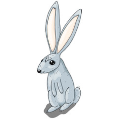 Obraz premium Hare rabbit hand drawn. Vector illustration of a cartoon rabbit, hare. Funny hare icon.