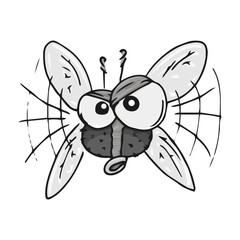 Fly hand drawn. Vector illustration of cartoon fly. Icon fly.