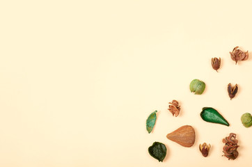 Leaves composition. Nature concept background. Flat lay