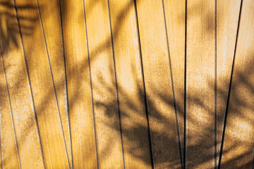 Abstract background of shadows palm leaves on wooden wall.