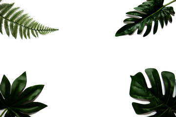 Flat lay of green tropical leaves on white background with copy space. Vacation holiday travel in summer season concept. Minimal style.