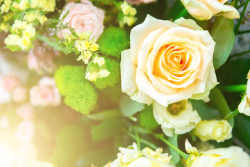 Roses flowers and petals background. a bouquet of beautiful flowers for a gift. greeting card.
