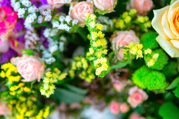 Roses flowers and petals background. a bouquet of beautiful flowers for a gift. greeting card.