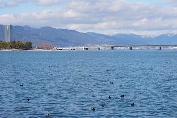 琵琶湖近江大橋