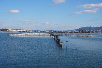 琵琶湖えり漁