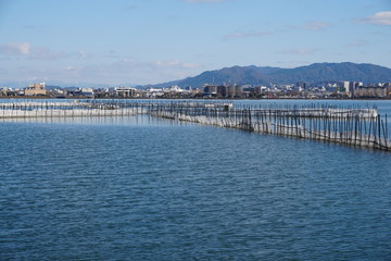 Fototapeta na wymiar 琵琶湖えり漁