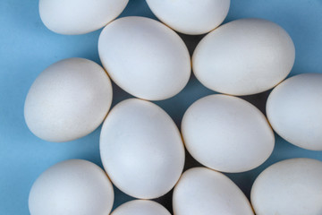 White eggs closeup view isolated on sky blue background
