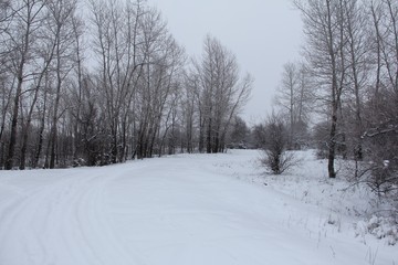 Obraz premium winter