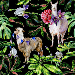 Watercolor seamless tropical pattern of  alpaca with flags and cartoon llama with pasque-flower, peony illustration. Exotic leaves of schefflera, croton, monstera. Use as wallpaper, wrapping paper.